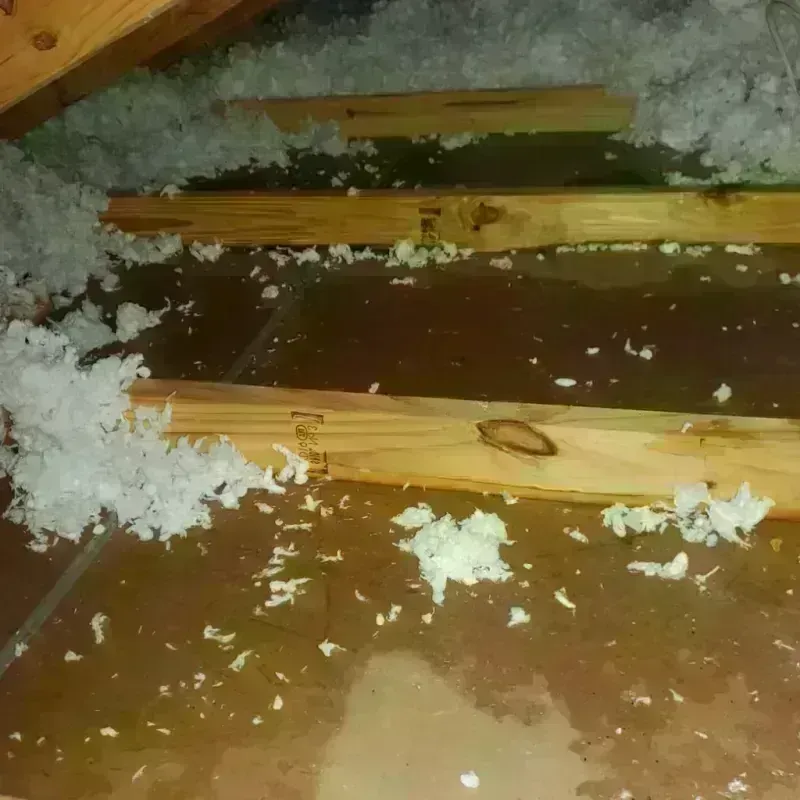 Attic Water Damage in Montegut, LA